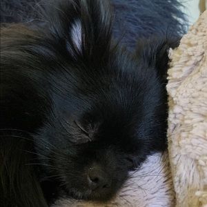 Meet your Posher, Margot